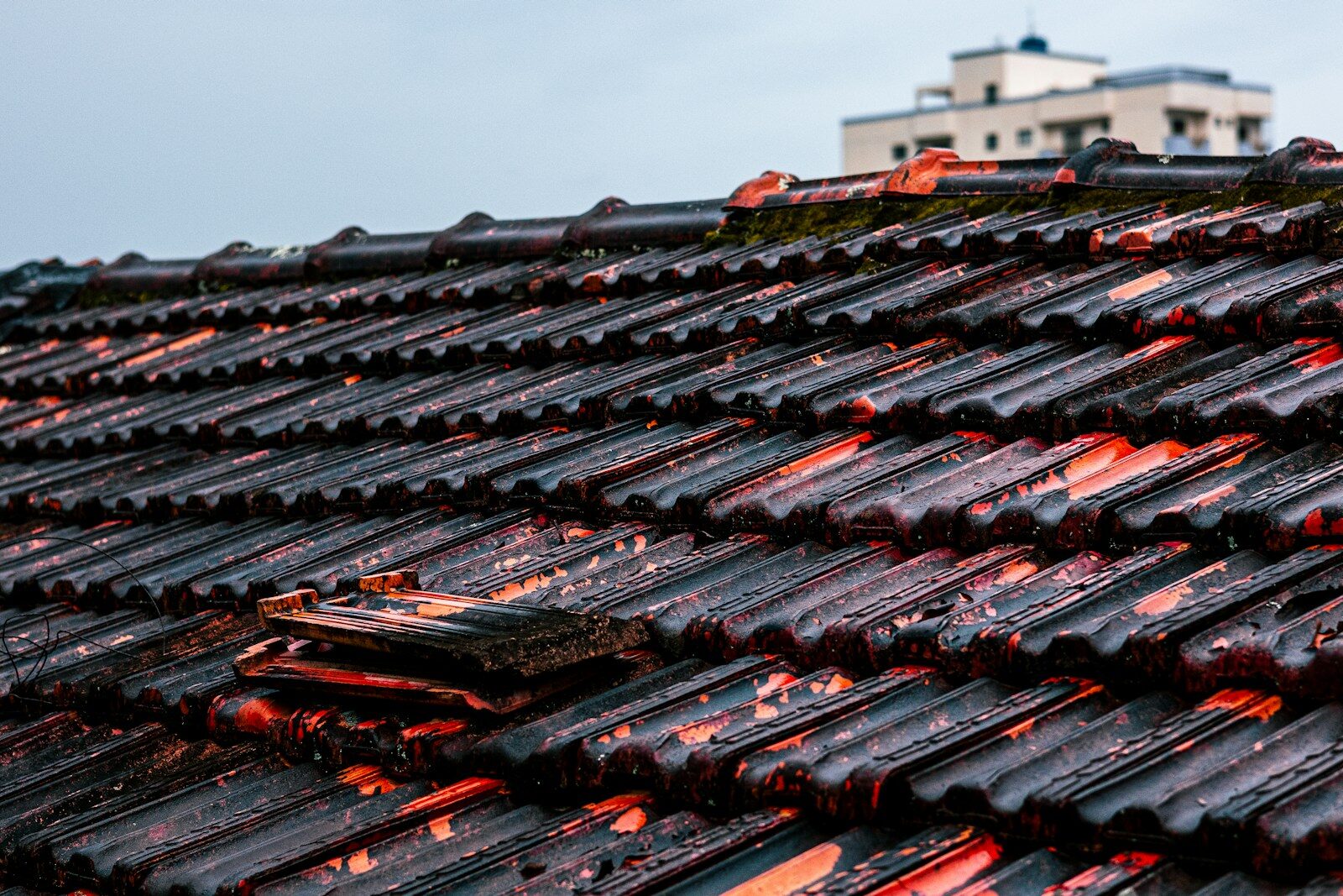 Close-up of dark, wet roof tiles with some damage.